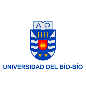 UBB-cliente SomosTrece